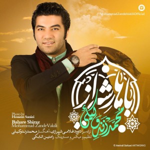 دانلود آهنگ بهار شیراز با صدای محمد زندوکیلی