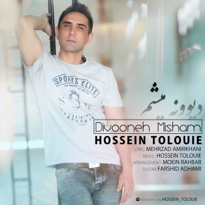 Hossein Tolouie - Divoone Misham
